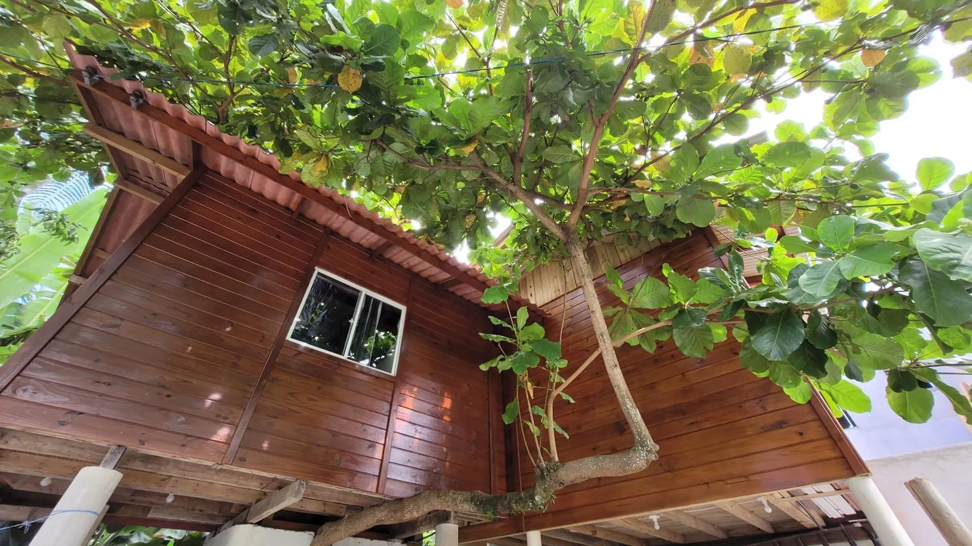 Holiday home Casa Na Arvore Refugio Proximo Ao Centro De Itapema