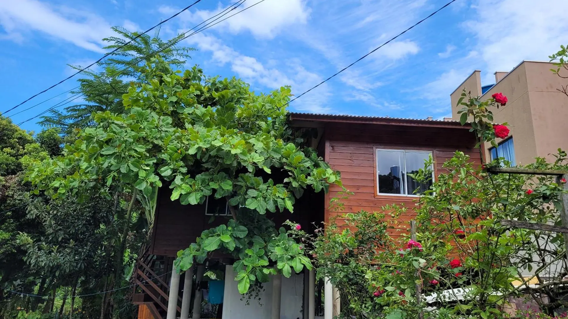 Casa Na Arvore Refugio Proximo Ao Centro De Itapema